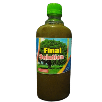 FINAL SOLUTION